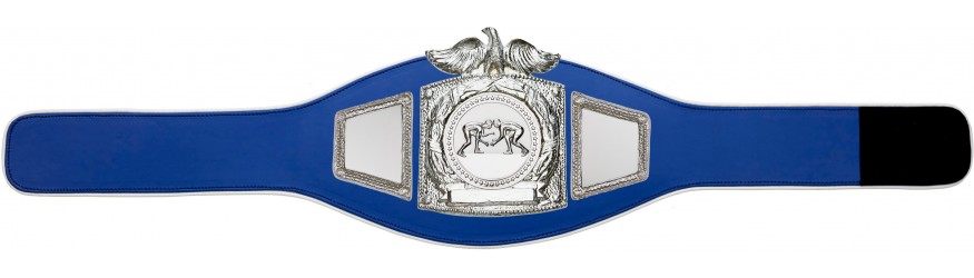 PROEAGLE GRAPPLING CHAMPIONSHIP BELT - PROEAGLE/S/GRAPS - AVAILABLE IN 6+ COLOURS